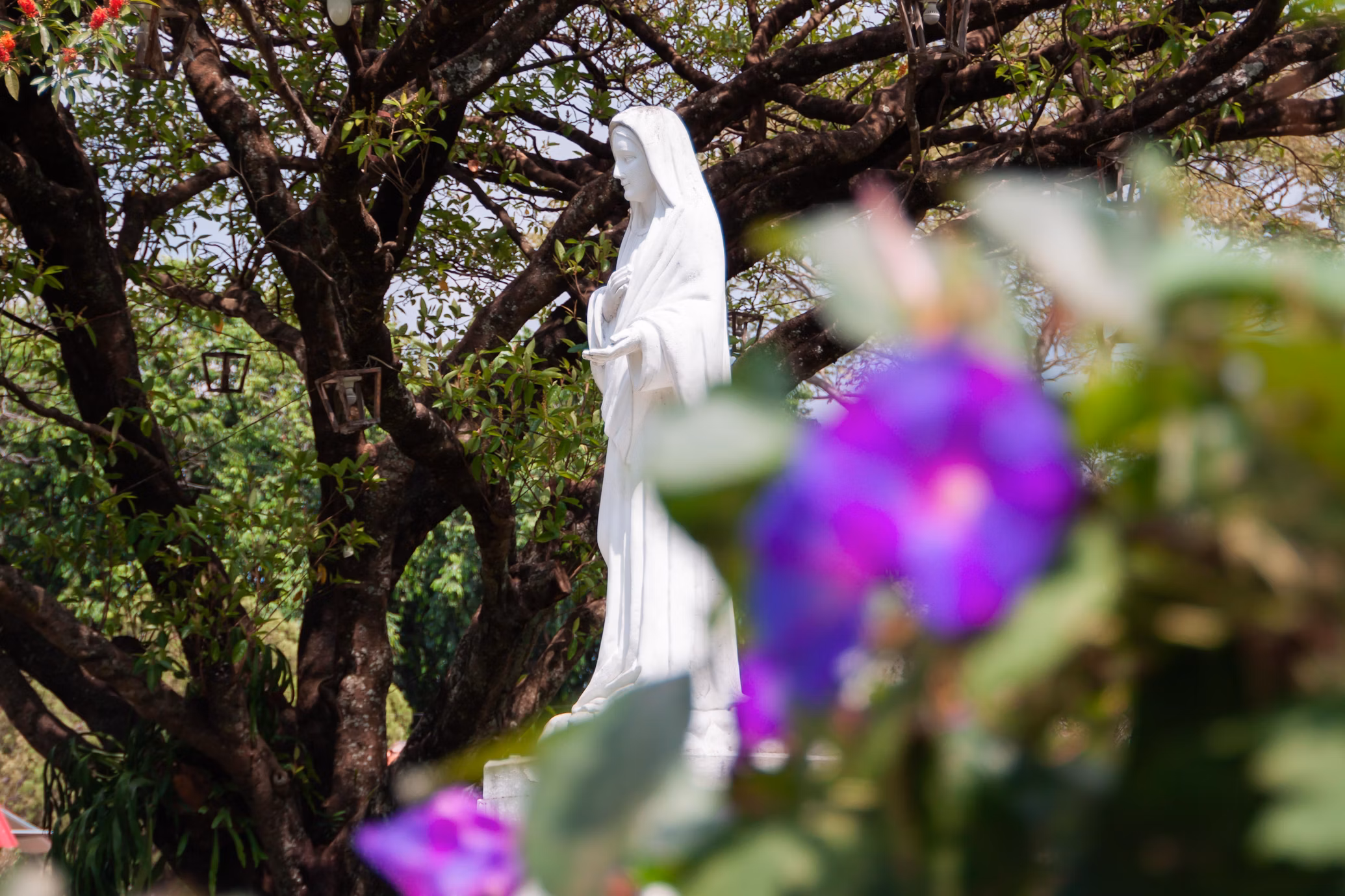 Imaculada Conceição de Maria