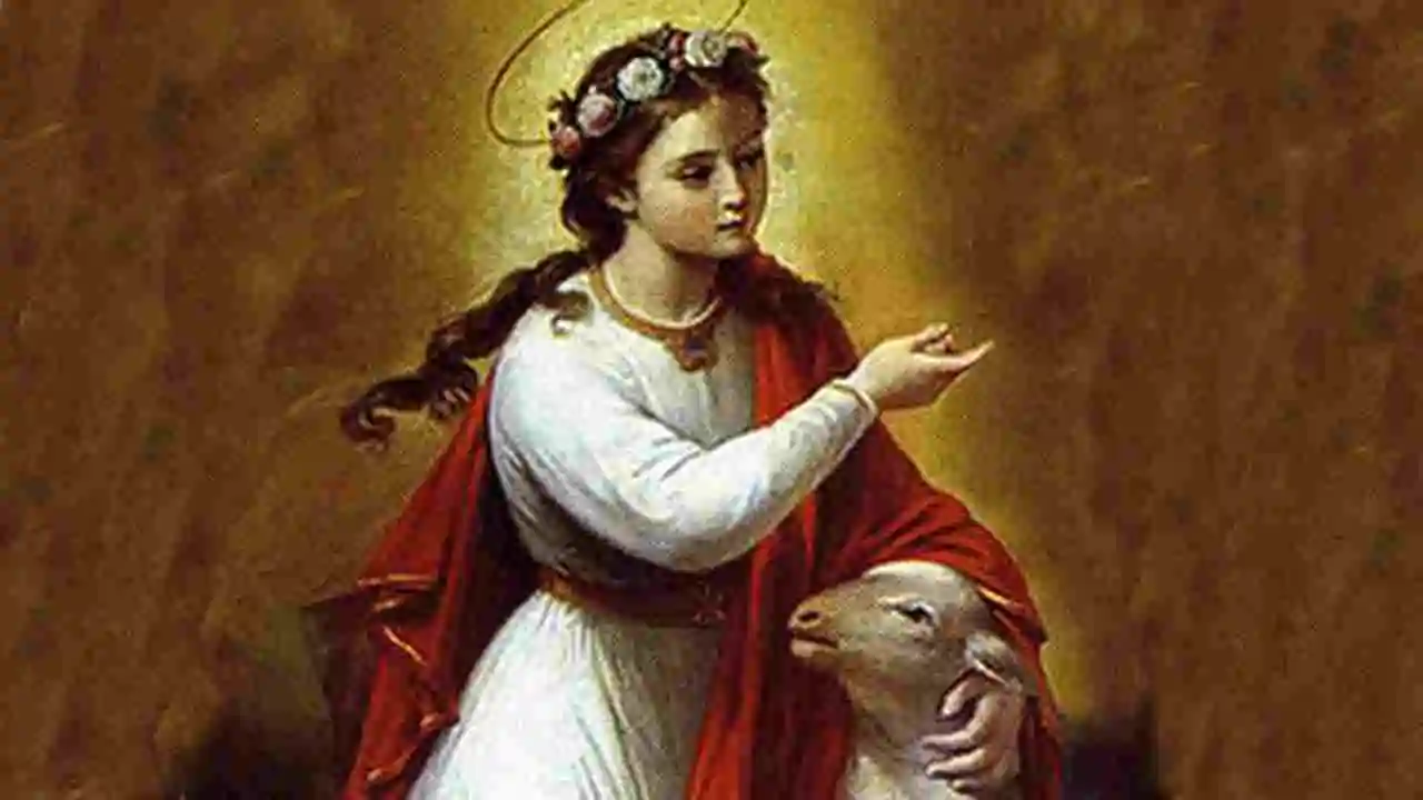 Santa Inês, modelo de pureza
